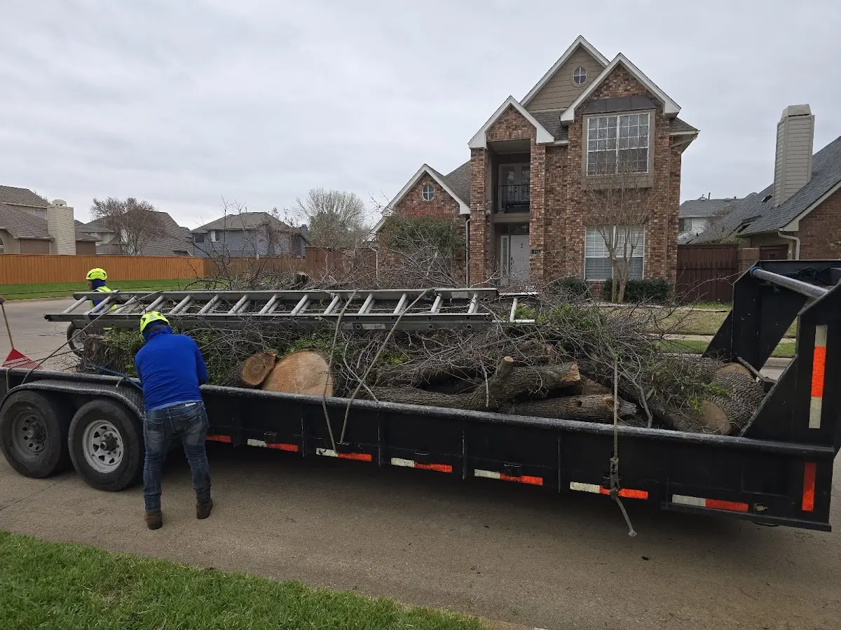 Expert Lot Clearing with proper safety equipment in Sterlington